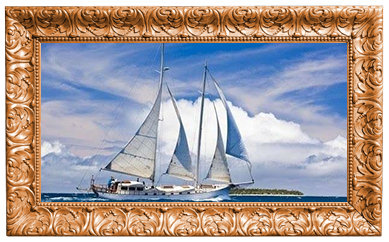 Discover-images5